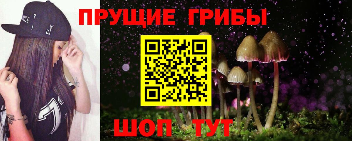 Галлюциногенные грибы GOLDEN TEACHER  Вход с VPN  Воткинск 